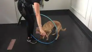 TPSC Daycare PP - Beanie Hula Hoop