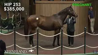 Keeneland Live Feed