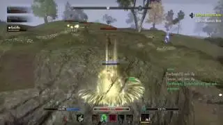 No Honour Stamina Nightblade Dw/Bow One Tamriel Open World PvP