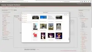 Gamification - Using 