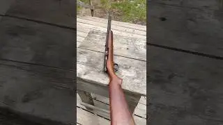 Bolt Action/Semi-Auto .22 rifle