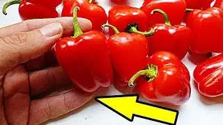 Что делать, если жжёт руки и рот после перца?