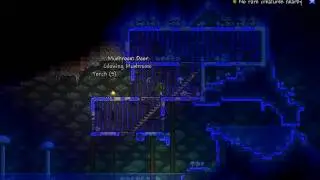 Terraria #14
