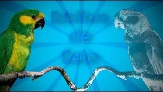 Tutorial Photoshop CS6 - Estátua de Gelo.