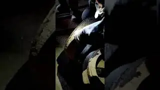 Устройство гранулятора и обслуживание