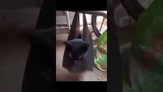 я типе гавна в трапочку наложу