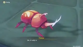 Beetle Battle Brawl Full Playthrough- no commentary
