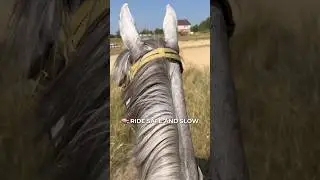 Скоро😝 #equestrian #horses #лошади #лошадь #конкур #верховая_езда