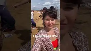 Пришли на рынок торговаться у рыбы писька есть? Ляпнула 