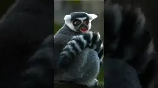 Ну чо у вас там дождь идёт?