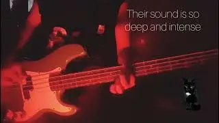 Bass cover -Double Echo-Torment