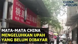 Mata-Mata China Putus Asa Menunggu Gaji yang Belum Dibayar