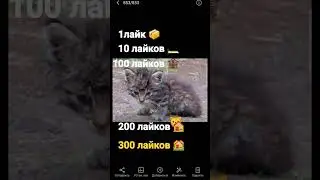Куда?