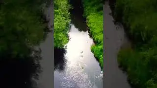 Another beautiful location, stunning flight over sankey viaduct #railway #viaduct #shorts  #drone
