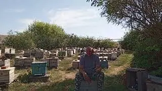 Итоги сезона 2024