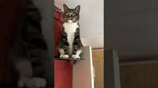 Ксюша залезла