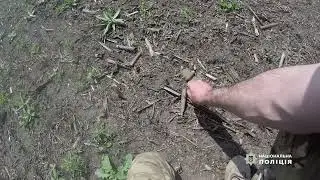Вибухотехніки збирають небезпечний "врожай"
