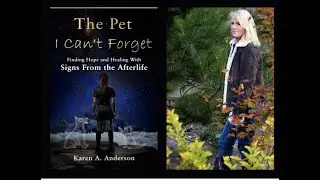 The Pet I Can't Forget - The Afterlife
