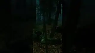 Отстреливаться