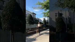 #funny #comedy
