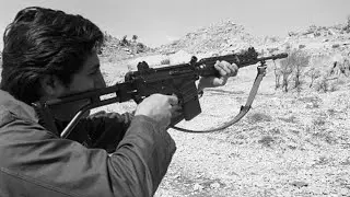 Bachir Gemayel Speech - Launch of LF Military Training - 17/01/1981