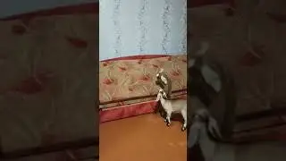 22 марта 2023 г.