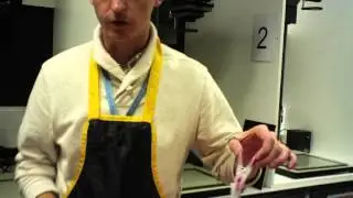 Making a Photogram