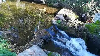 Viseu nature photography(2)