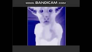 Миша ты что пукнул Effects