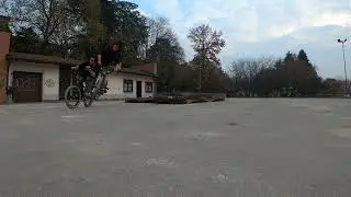 Freeze and Reverse video