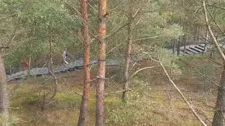 Дорожка для пешеходов на Куршской косе