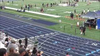 Malia Rose Harvey - April1st2023 Kamehameha Invite