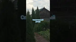 Спасительный држдь