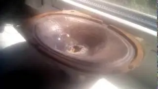 бас тест х