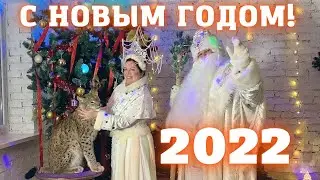 Новогоднее поздравление от рыси Марса и компании