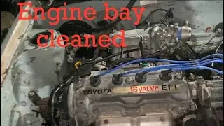 Project kooza update || Engine bay cleaned || wiring done…