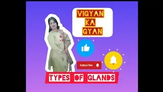 types of glands - Control and Co-ordination Class X Biology