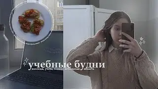 учебные будни | учеба, колледж, чтение