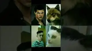 мемы