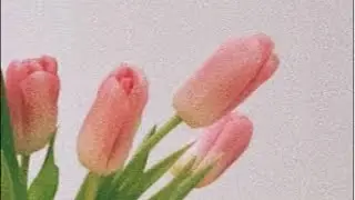 20210116 안녕!!