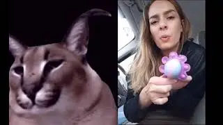 floppa dances to popito