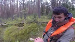 Рыбалка на Мологе от Противье до Весьегонска (6 августа 2019 г.