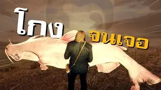 ความลับที่ค้นพบด้วยการ 'โกงเกม'