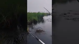 Дружбан.
