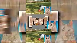 (YTPMV) Murka Leshka Scan