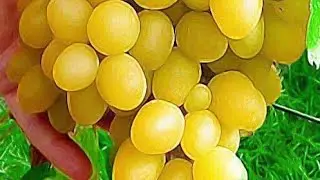 Ответы на вопросы в комментариях