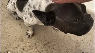Куда сливать негатив…