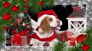С новым 2018 годом!