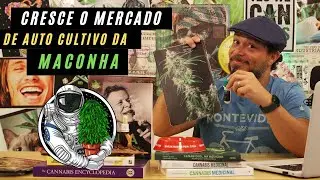 Cresce o mercado de auto cultivo de maconha no Brasil