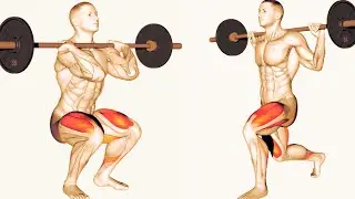 From Novice to Pro   Unlocking Pro Level Strength While Mastering the Barbell Squat